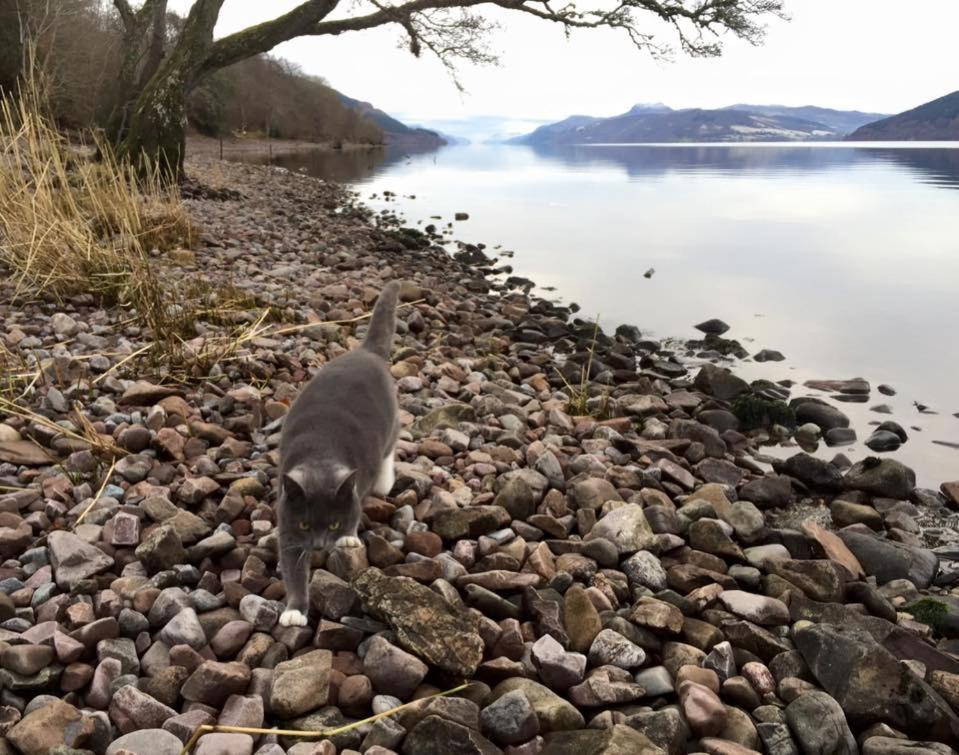 Balachladaich Loch Ness Dores